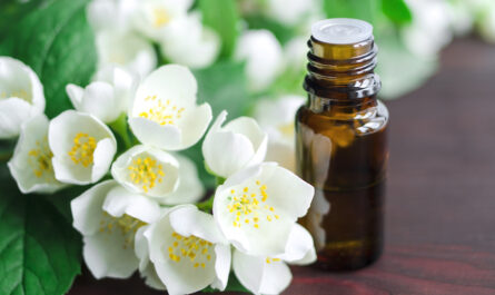 5 benefits of jasmine essential oil and how to reap them