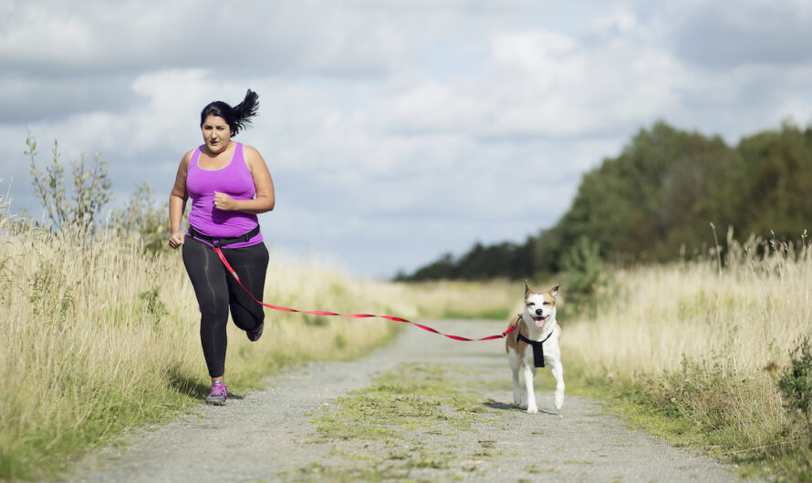 How to run with my dog