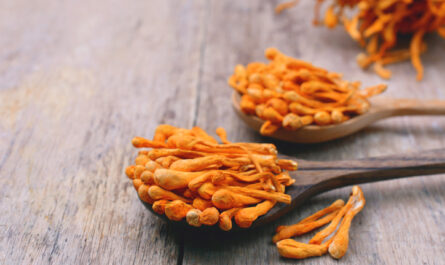 What is Cordyceps fungus & the benefits of Cordyceps